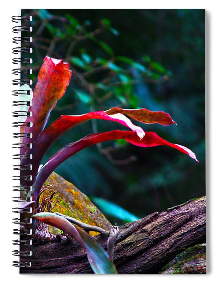 Fine Art Photography Spiral Notebook featuring the photograph Grow Where You're Planted by Patricia Griffin Brett