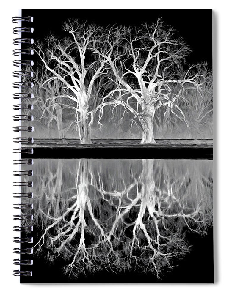 Trees Spiral Notebook featuring the photograph Growing Old Together - The Negative by Nikolyn McDonald
