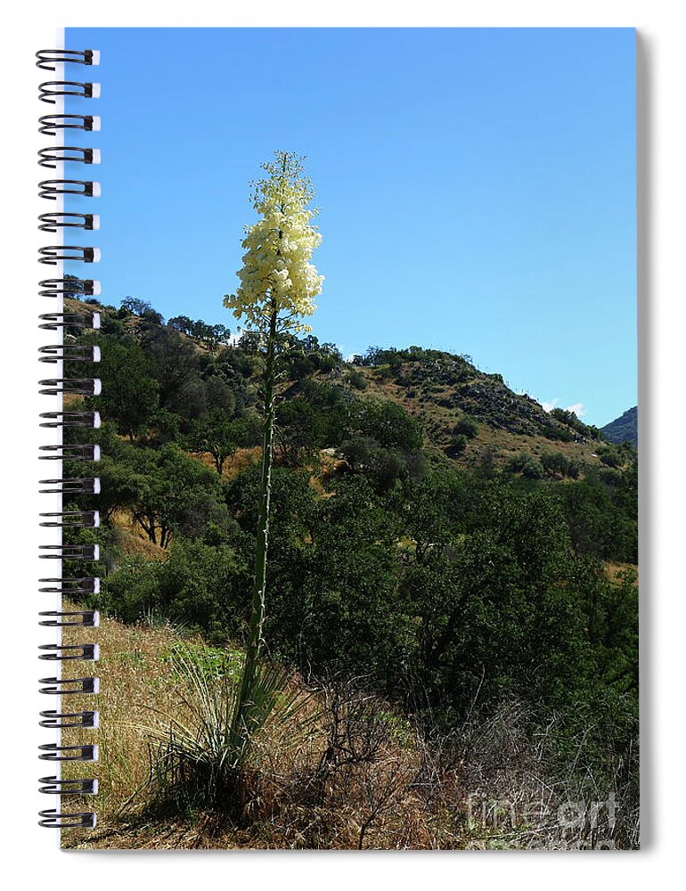 Flora Spiral Notebook featuring the photograph Grown By Nature by Christiane Schulze Art And Photography