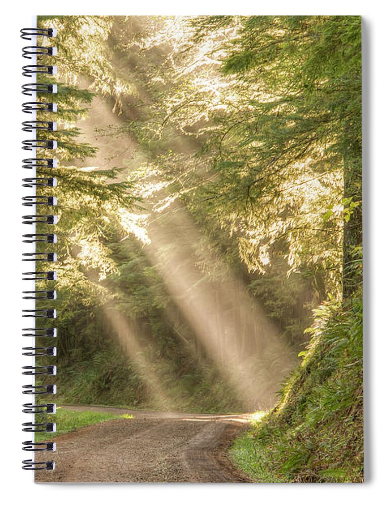 Cascade Head Spiral Notebook featuring the photograph Guiding Light by Kristina Rinell