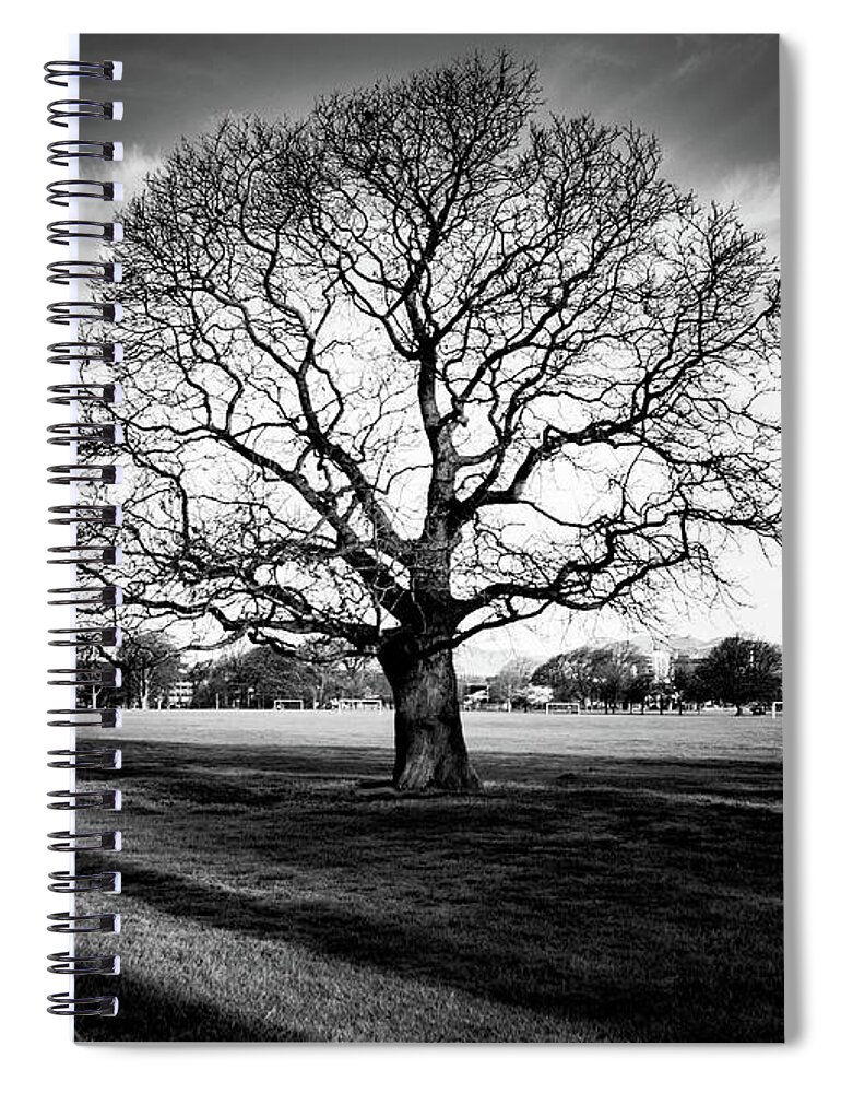 Tree Spiral Notebook featuring the photograph Hagley Tree Landscape by Roseanne Jones