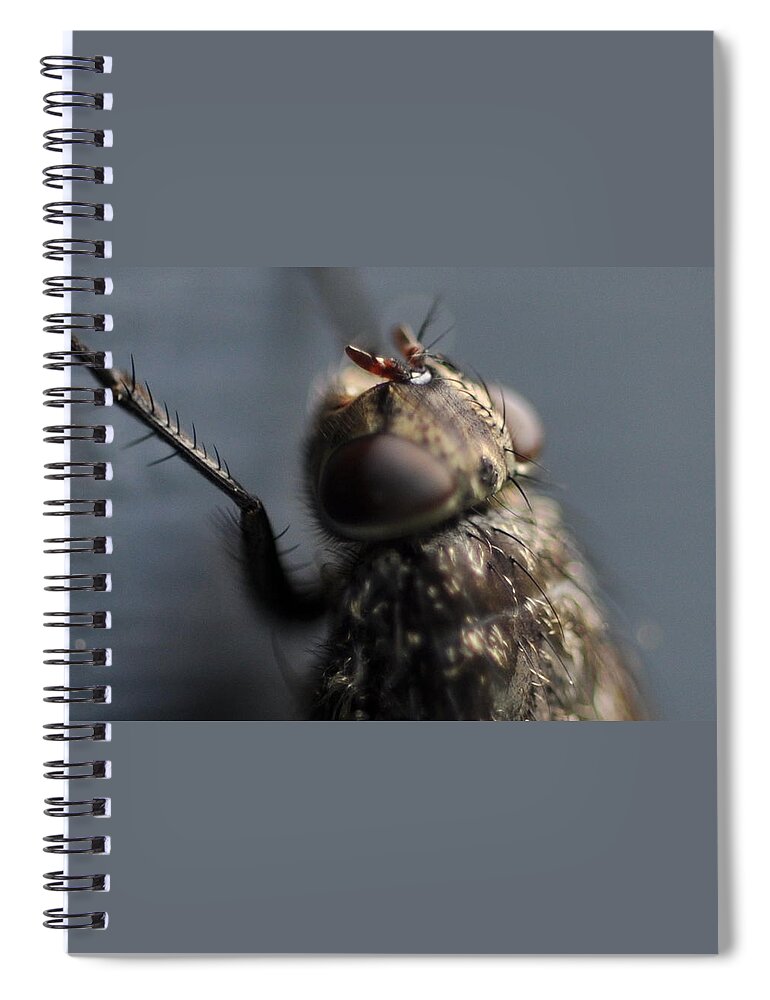 Fly Spiral Notebook featuring the photograph Hair on a Fly by Glenn Gordon