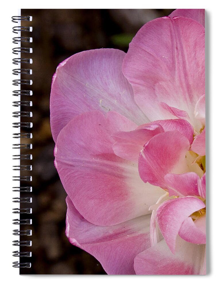 Flowers Spiral Notebook featuring the photograph Half Tulip by Ches Black
