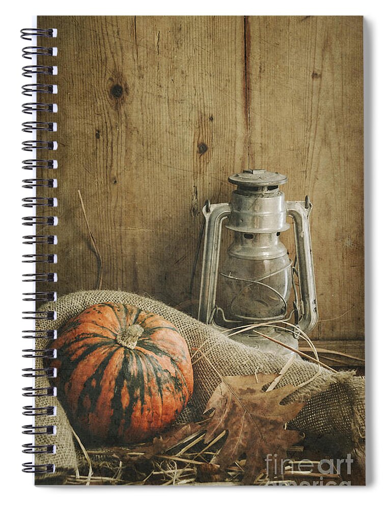 Life Spiral Notebook featuring the photograph Halloween Compositin by Jelena Jovanovic