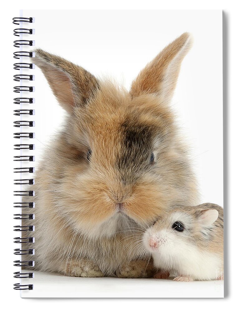 Roborovski Hamster Spiral Notebook featuring the photograph Ham and Bun by Warren Photographic