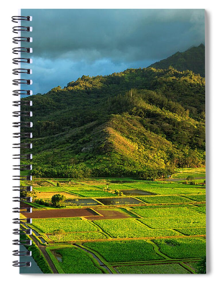 Landscape Spiral Notebook featuring the photograph Hanalei Valley Taro Fields by James Eddy
