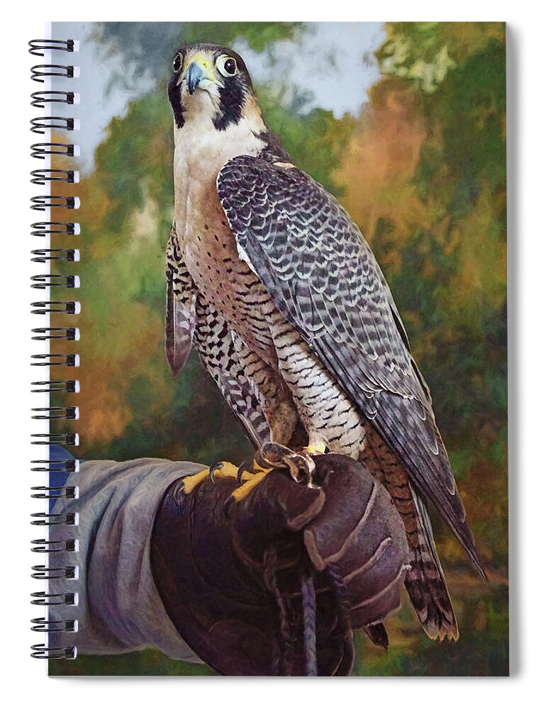 Raptor Spiral Notebook featuring the photograph Hand of the Falconer by Nikolyn McDonald