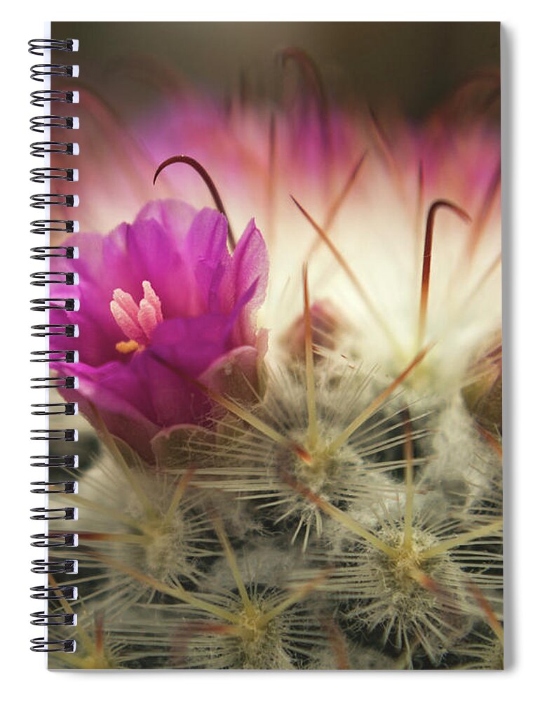 Cactus Spiral Notebook featuring the photograph Handle with Care by Holly Ross