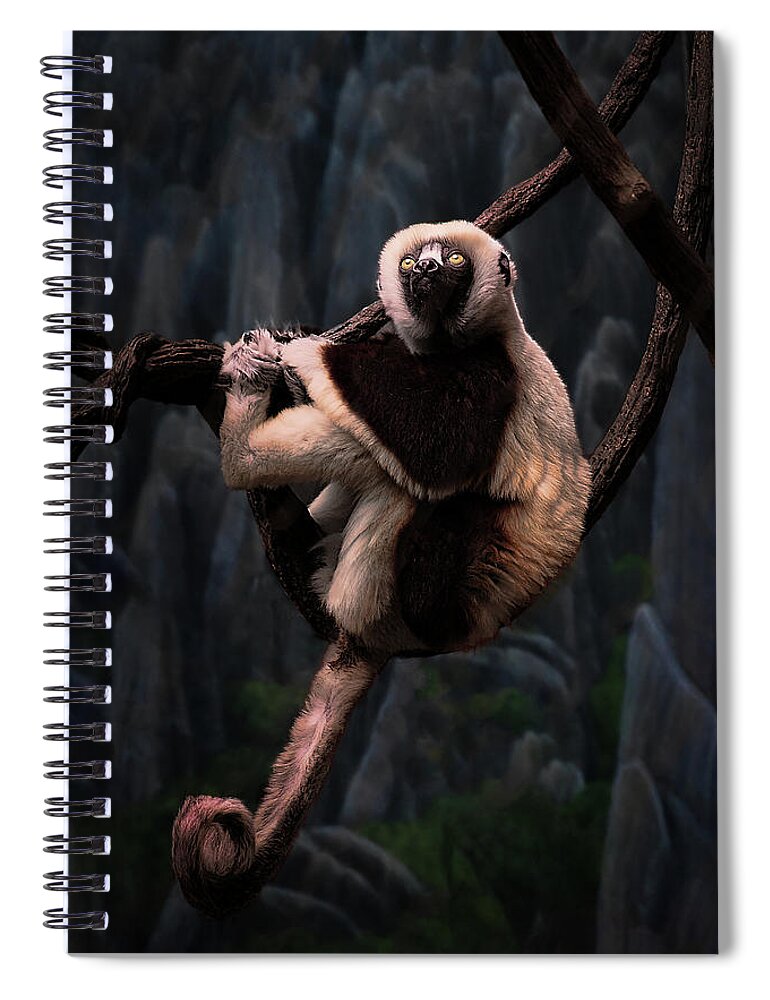 Monkey Spiral Notebook featuring the photograph Hanging On by Aleksander Rotner
