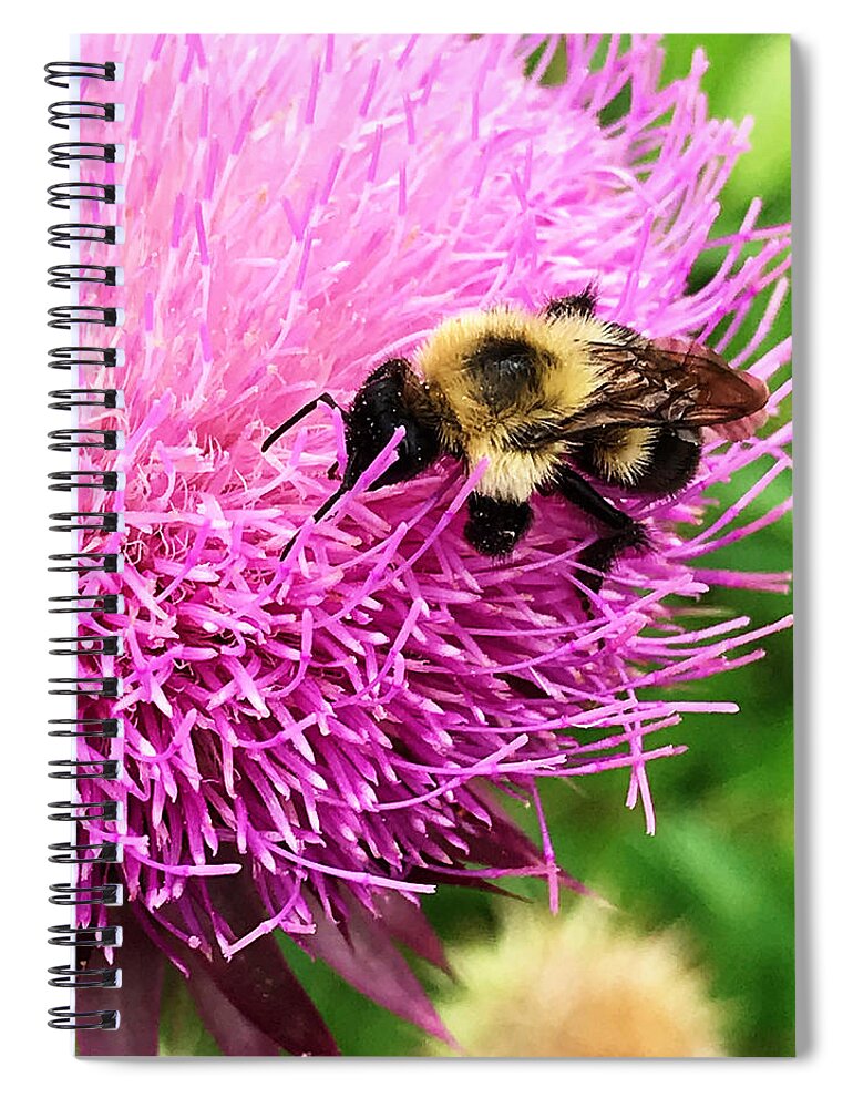 Bee Spiral Notebook featuring the photograph Happiness by Jeff Iverson