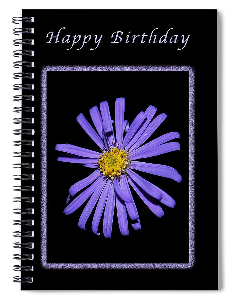 Birthday Spiral Notebook featuring the photograph Happy Birthday Purple Aster by Michael Peychich