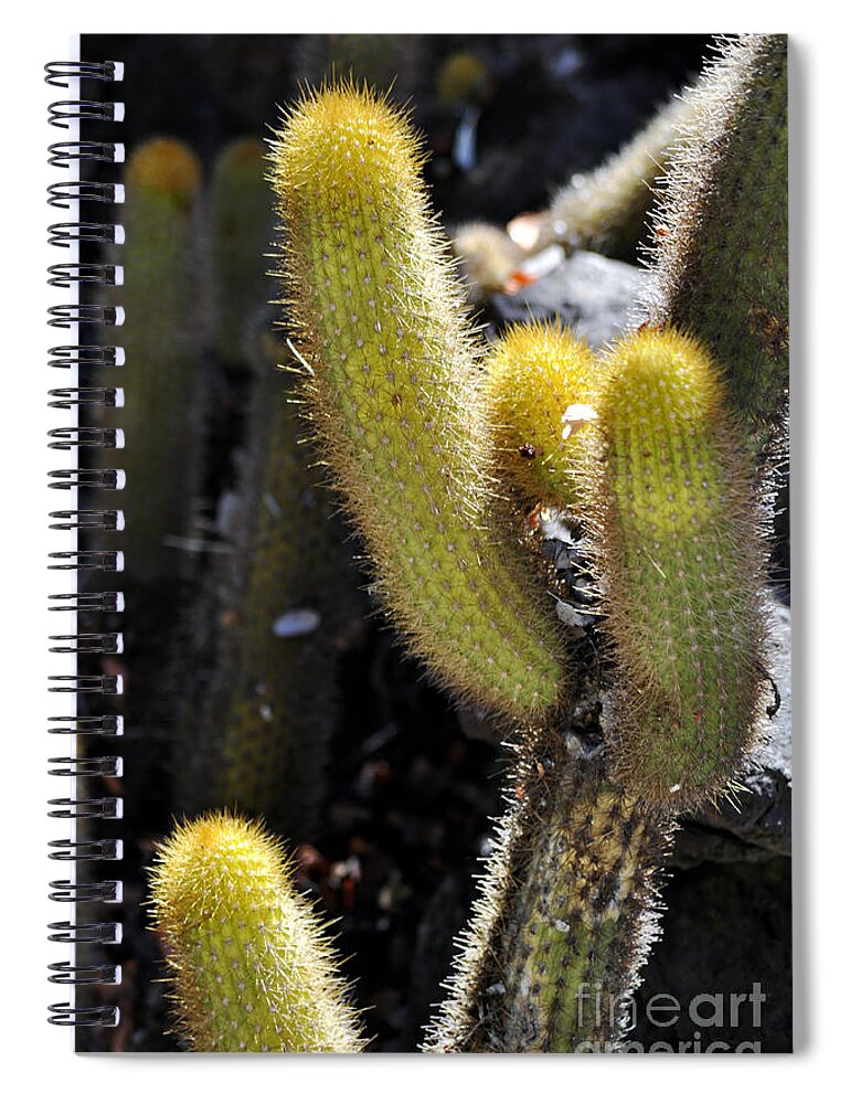 Clay Spiral Notebook featuring the photograph Happy by Clayton Bruster