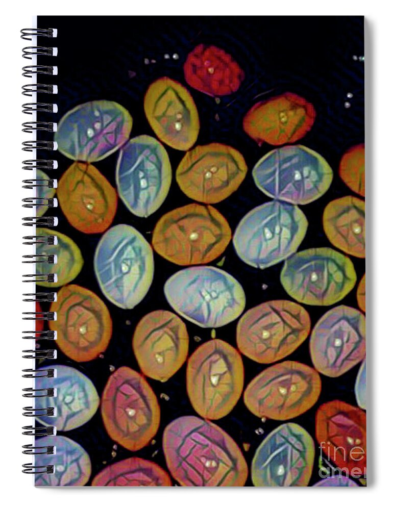 Eggs Spiral Notebook featuring the digital art Happy Eggs by Jackie MacNair