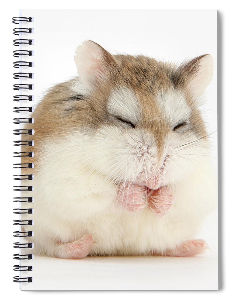 Roborovski Hamster Spiral Notebook featuring the photograph Happy Hammy by Warren Photographic