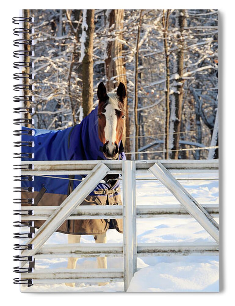 Horse Spiral Notebook featuring the photograph Happy Hazel by Elizabeth Dow