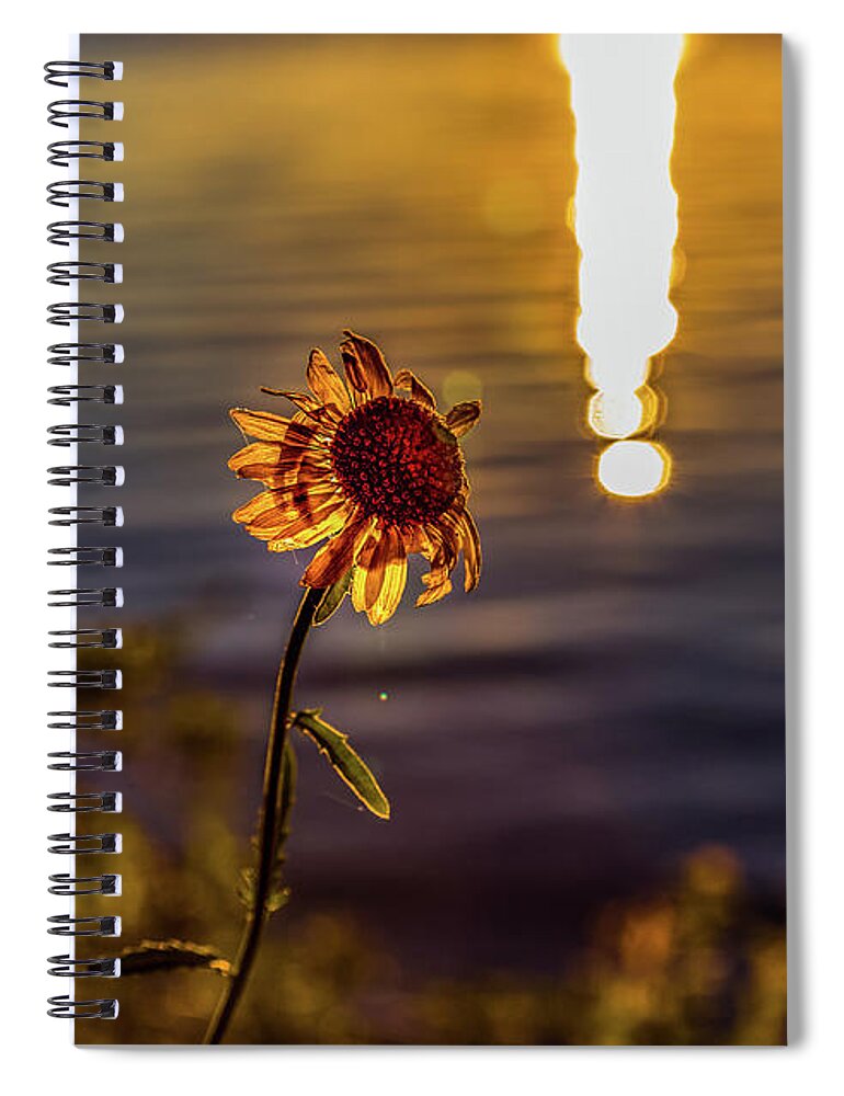 Flower Spiral Notebook featuring the photograph Happy Sunday by Joe Holley