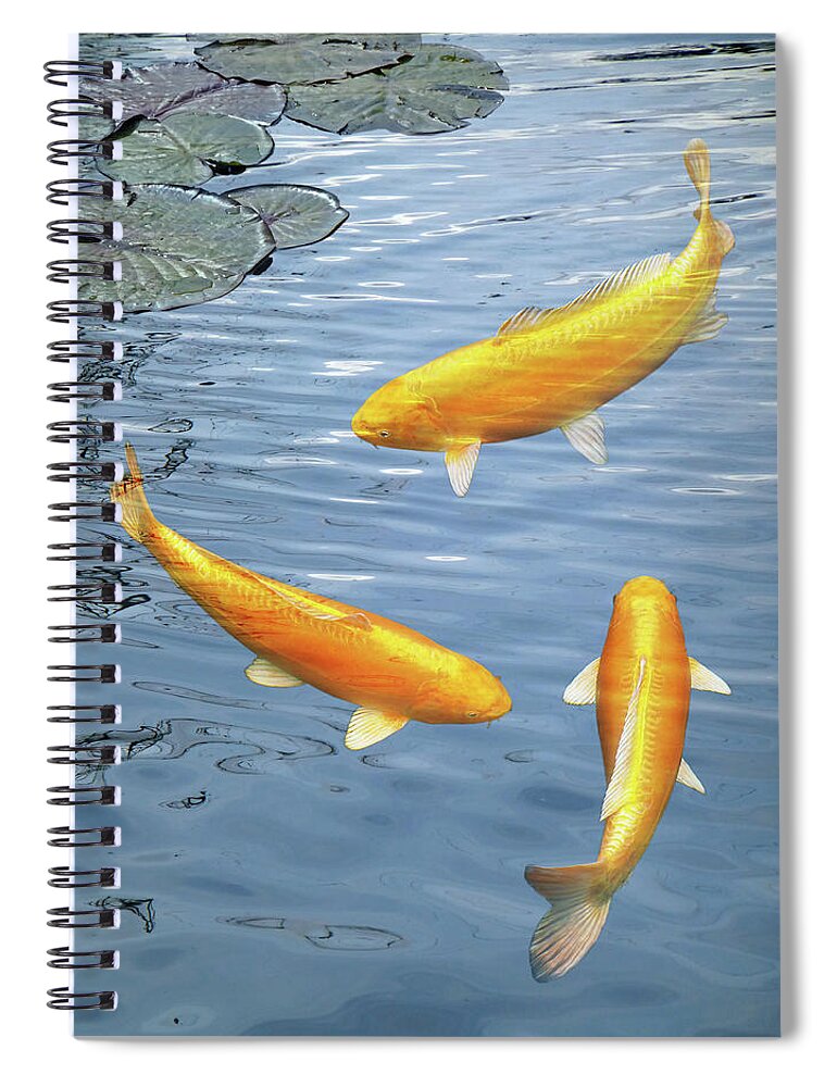 Fish Spiral Notebook featuring the photograph Harmony - Golden Koi by Gill Billington
