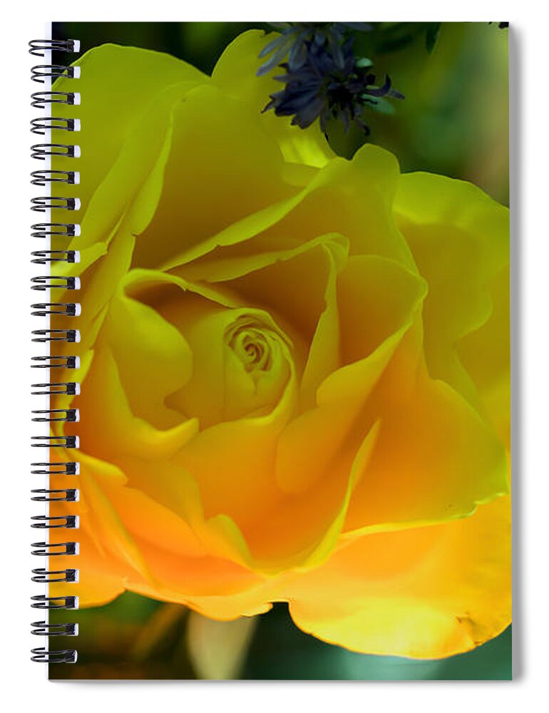 Colour Spiral Notebook featuring the photograph Harmony by Ramabhadran Thirupattur