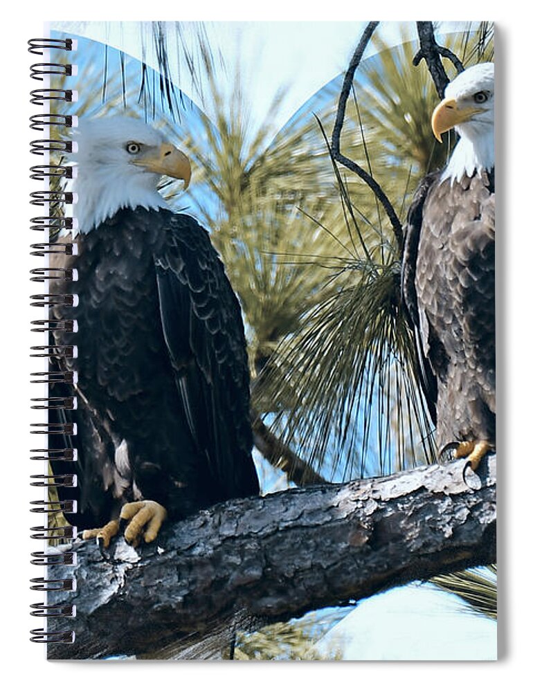 Bald Eagles Spiral Notebook featuring the photograph Harriet and M15 the beginning by Liz Grindstaff
