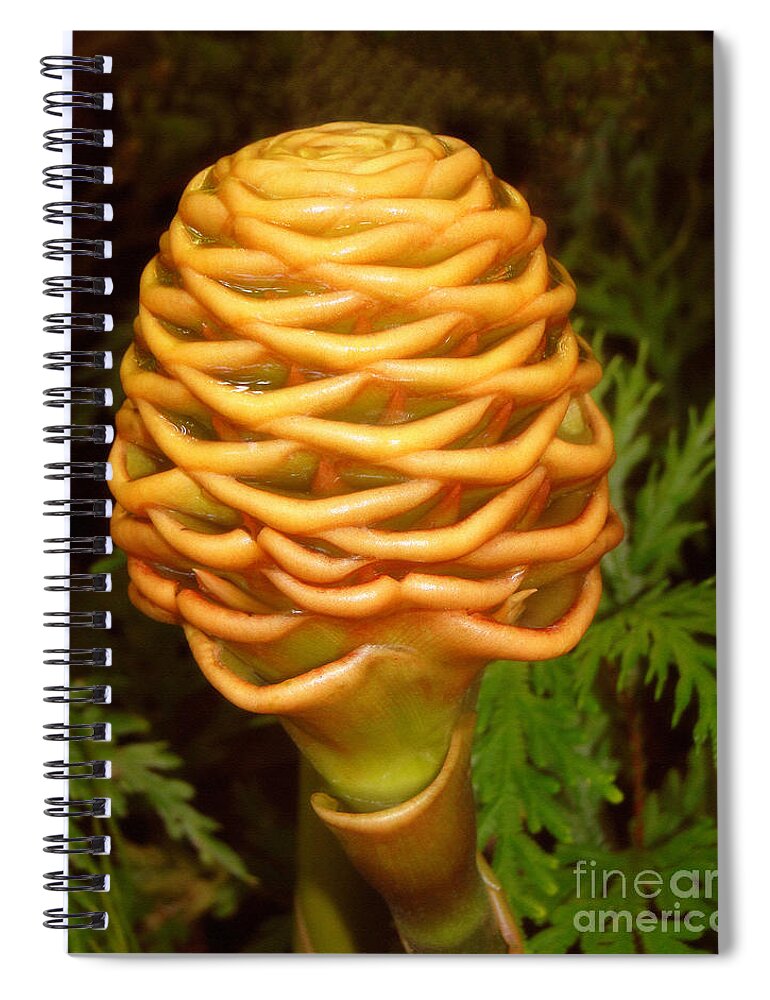 Flower Spiral Notebook featuring the photograph Hawaiian Golden Beehive Ginger Plant by Sue Melvin