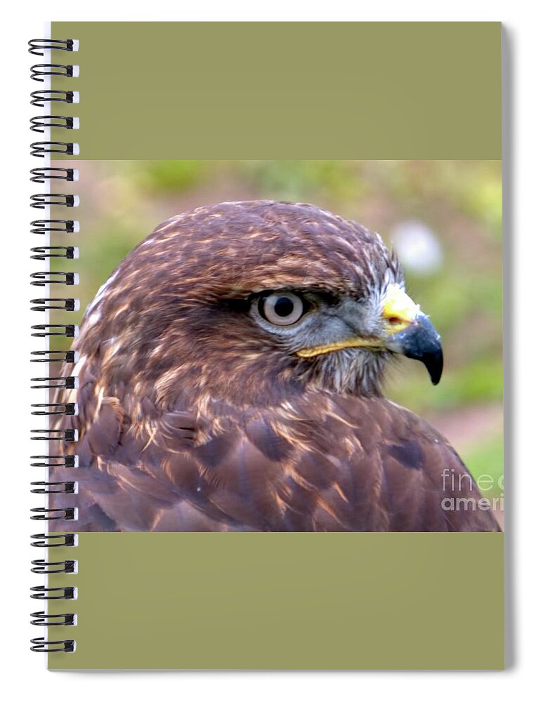 Bird Spiral Notebook featuring the photograph Hawks eye view by Stephen Melia