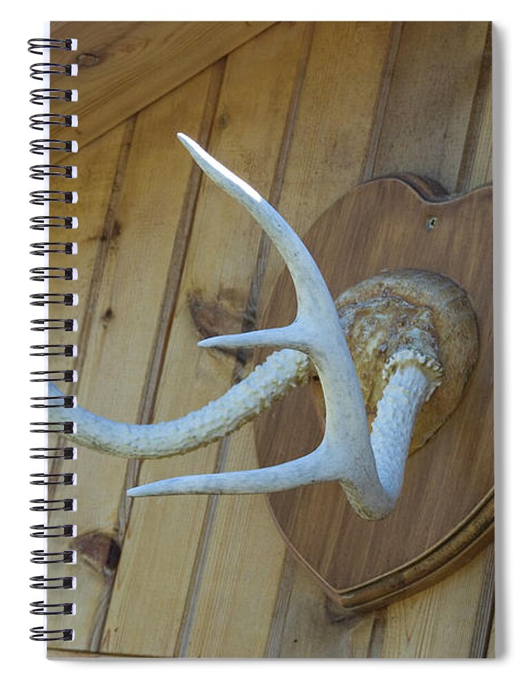 Garage Spiral Notebook featuring the photograph Head Moose by Ee Photography