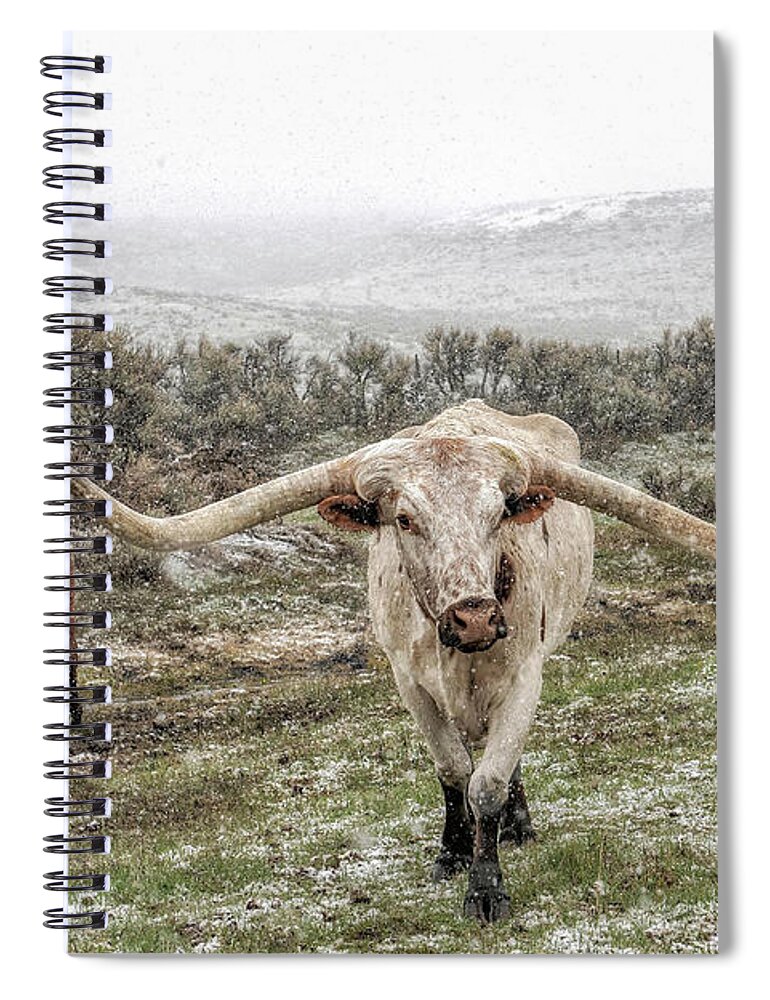 Longhorn Cattle Spiral Notebook featuring the photograph Head'n Home by Pamela Steege
