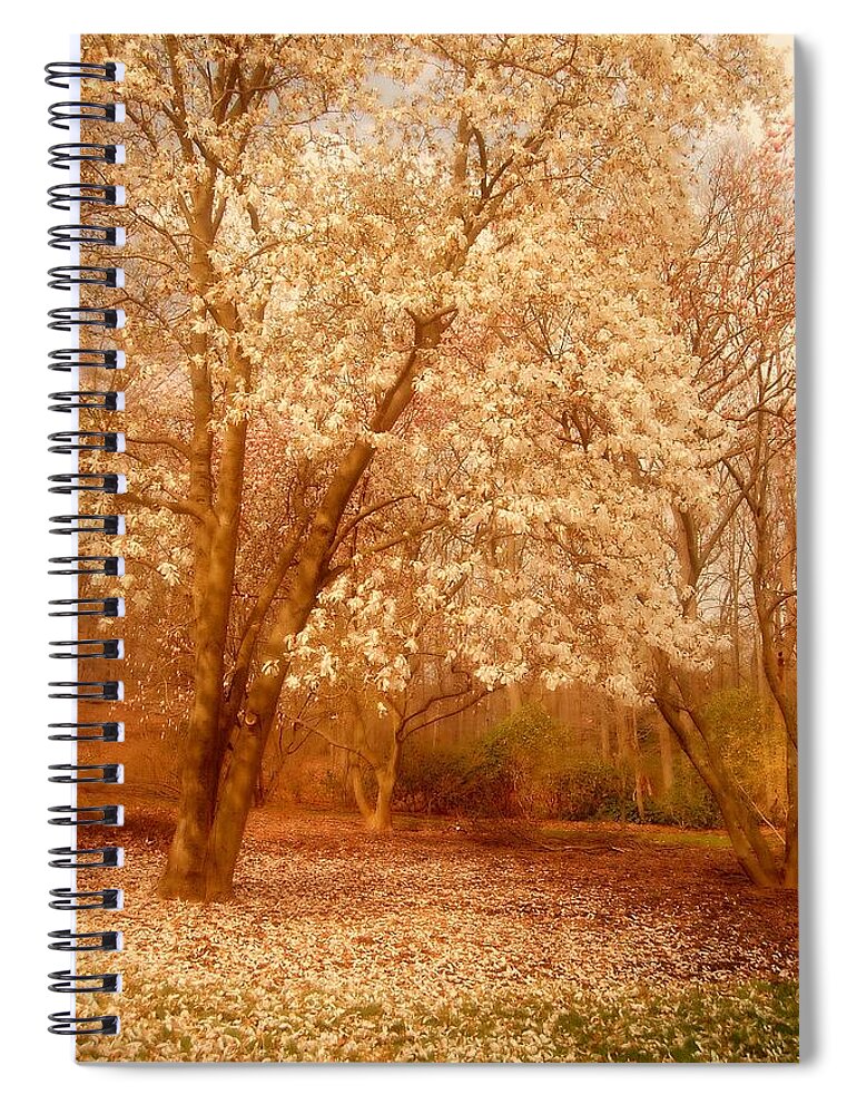New Jersey Spiral Notebook featuring the photograph Hear the Silence - Holmdel Park by Angie Tirado