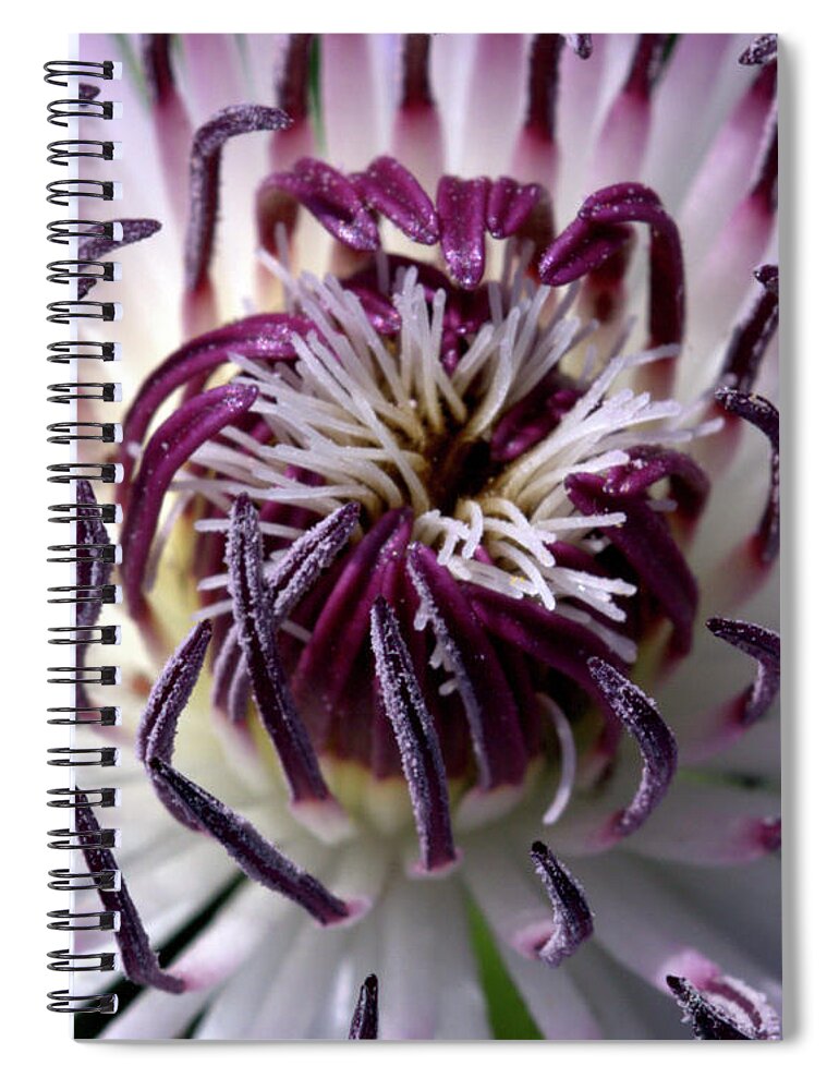 Flora Spiral Notebook featuring the photograph Heart of Nelly by Stephen Melia