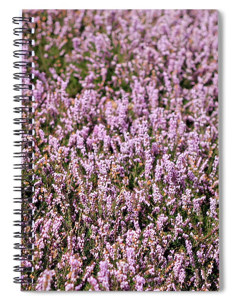 Heather Spiral Notebook featuring the photograph Heather Background by Lee Serenethos