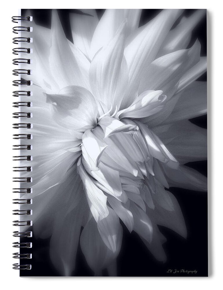 Dahlia Spiral Notebook featuring the photograph Heavenly Light by Jeanette C Landstrom