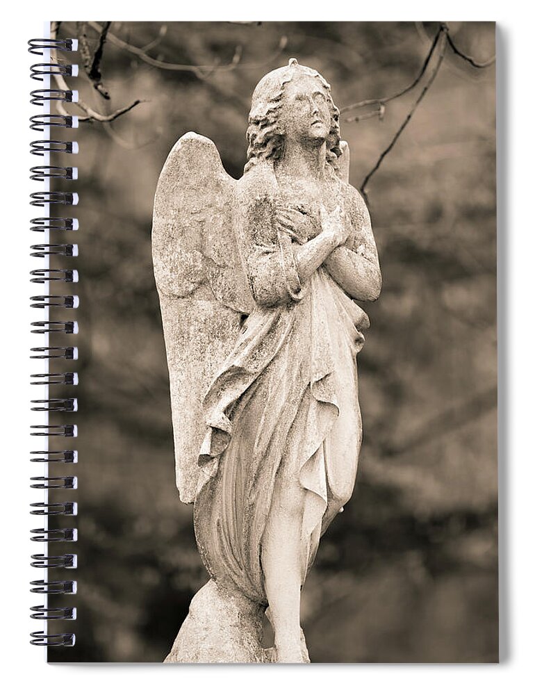 Heavenly Love Spiral Notebook featuring the photograph Heavenly Love by Dale Kincaid