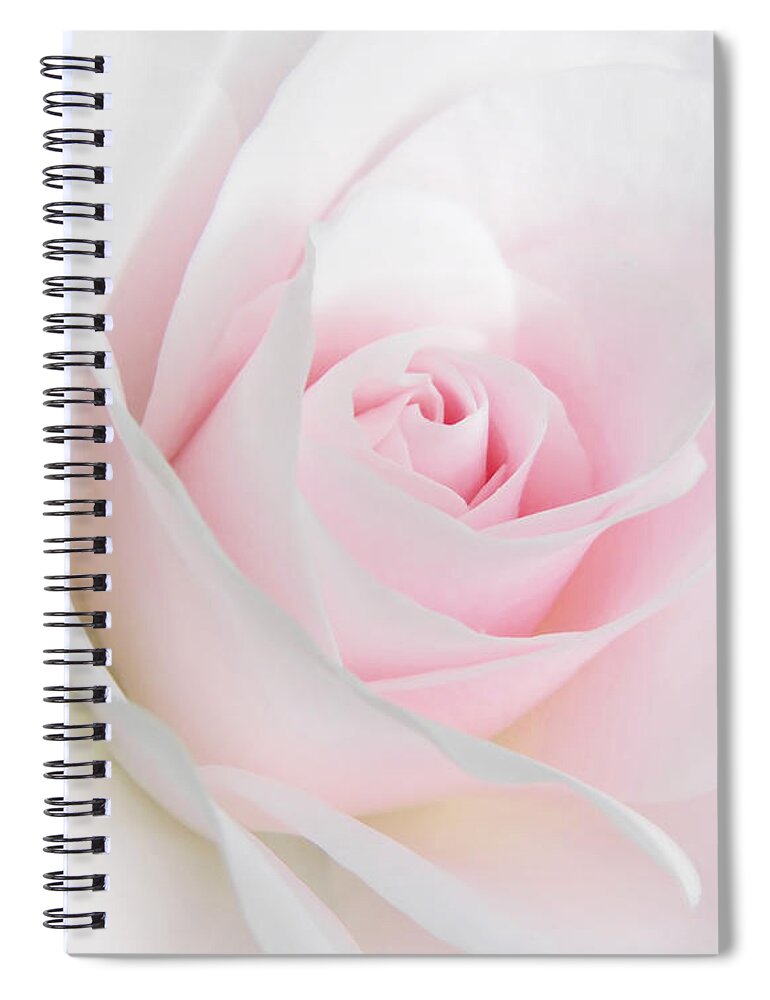 Rose Spiral Notebook featuring the photograph Heaven's Light Pink Rose Flower by Jennie Marie Schell