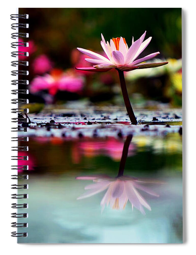 Flower Spiral Notebook featuring the photograph Heaven's Masterpiece by Melanie Moraga