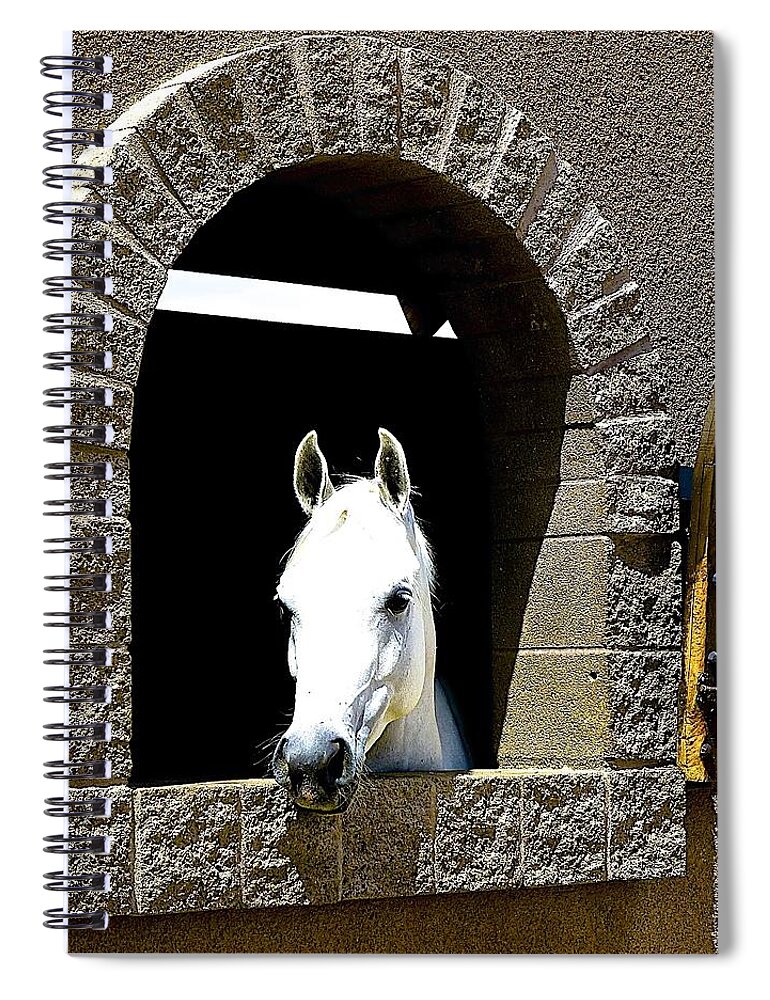 Horse Spiral Notebook featuring the photograph Hello You by Barbara Zahno