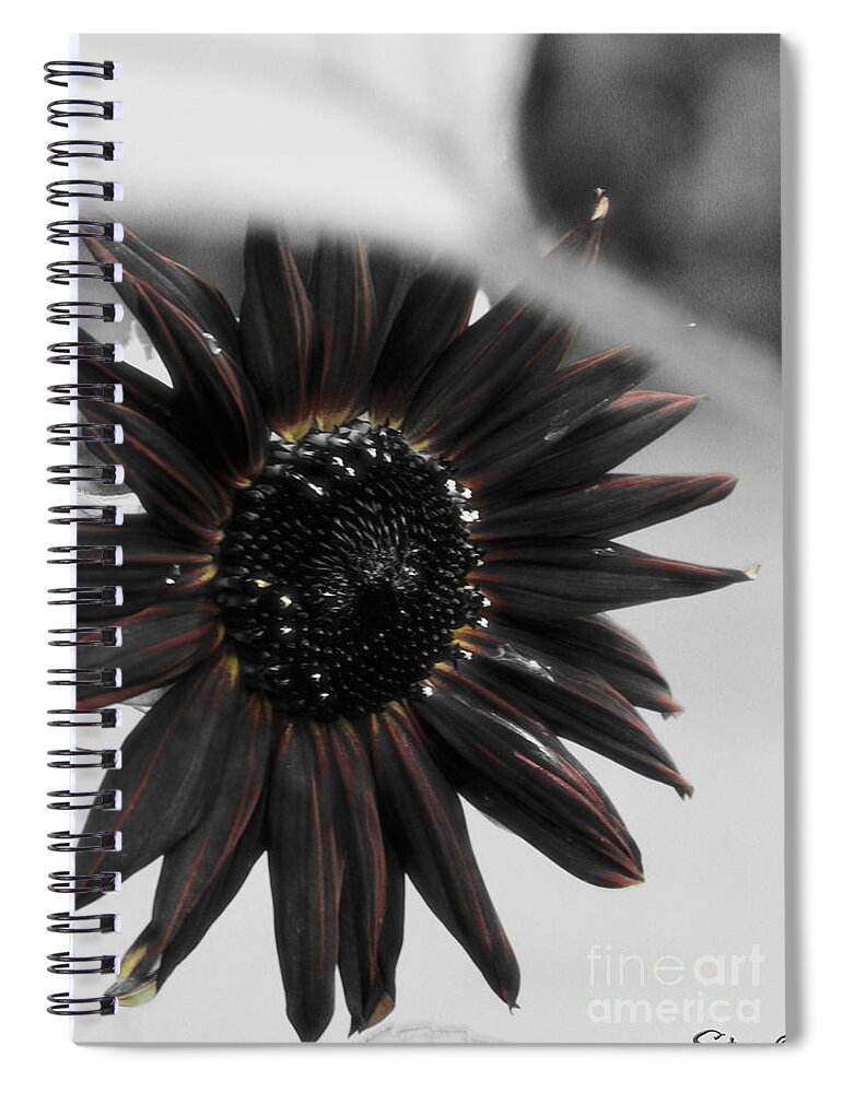 Sunflower Spiral Notebook featuring the photograph Hells Sunflower by September Stone