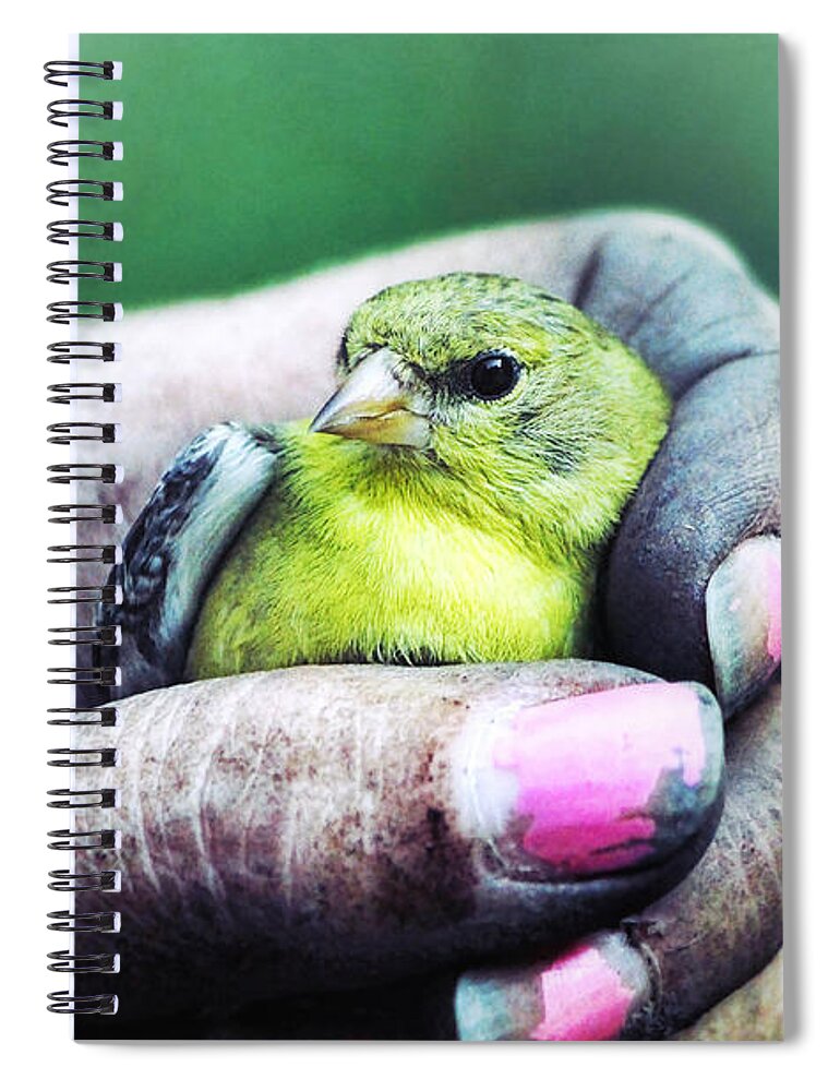 Goldfinch Spiral Notebook featuring the photograph Helping Hand by Tina LeCour