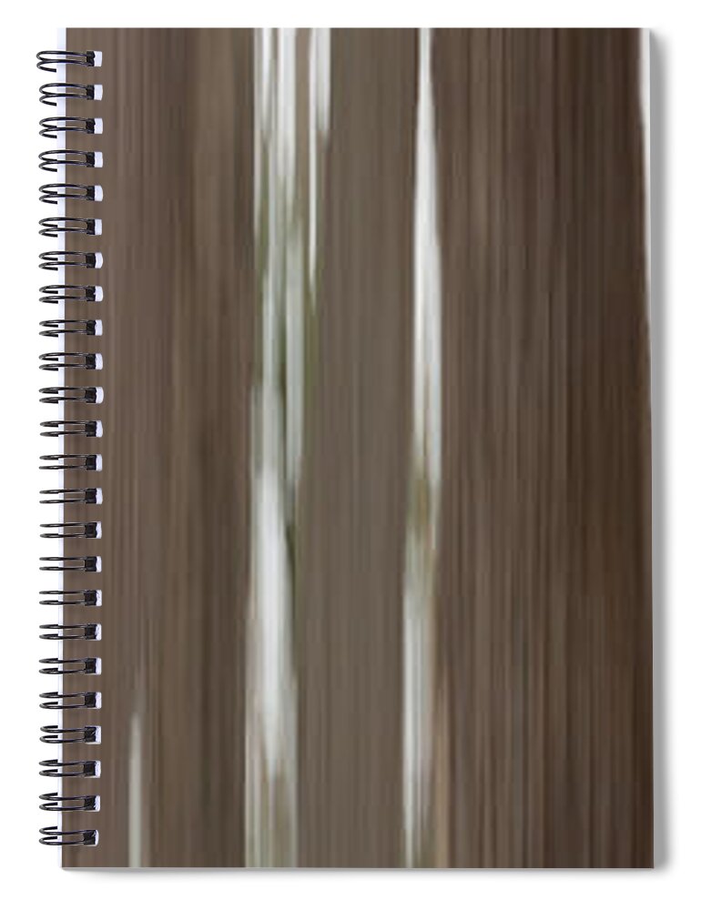 Trees Spiral Notebook featuring the photograph Hemlock Grove by Phil Spitze
