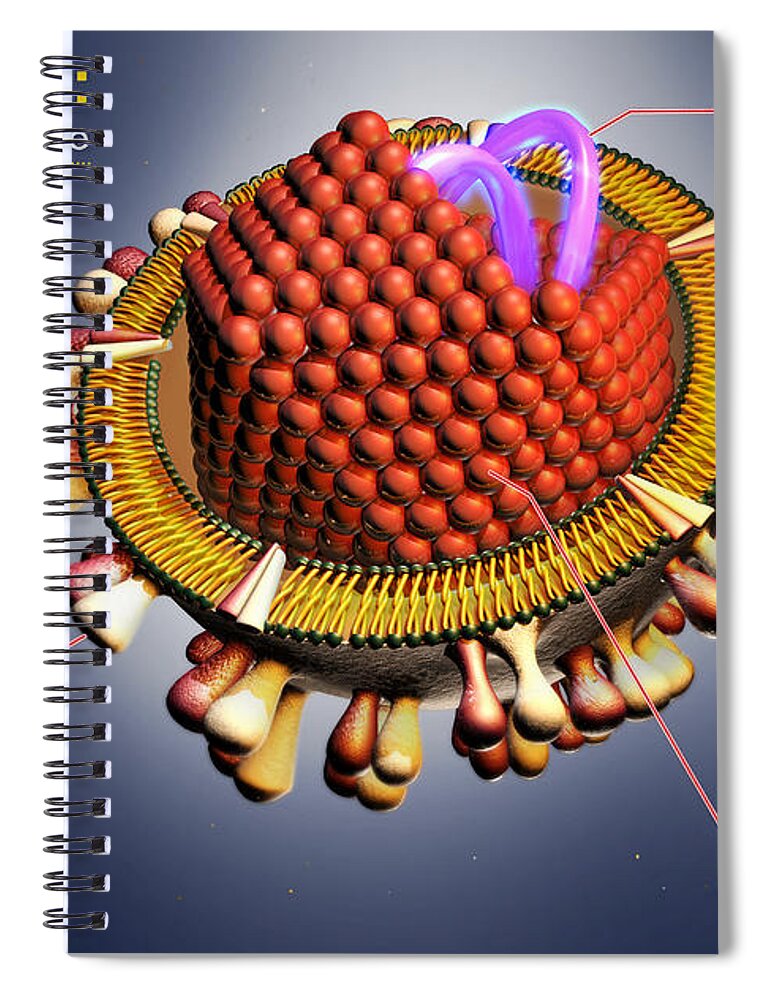 Science Spiral Notebook featuring the photograph Hepatitis C Virus, Illustration by Sultan Alshehri