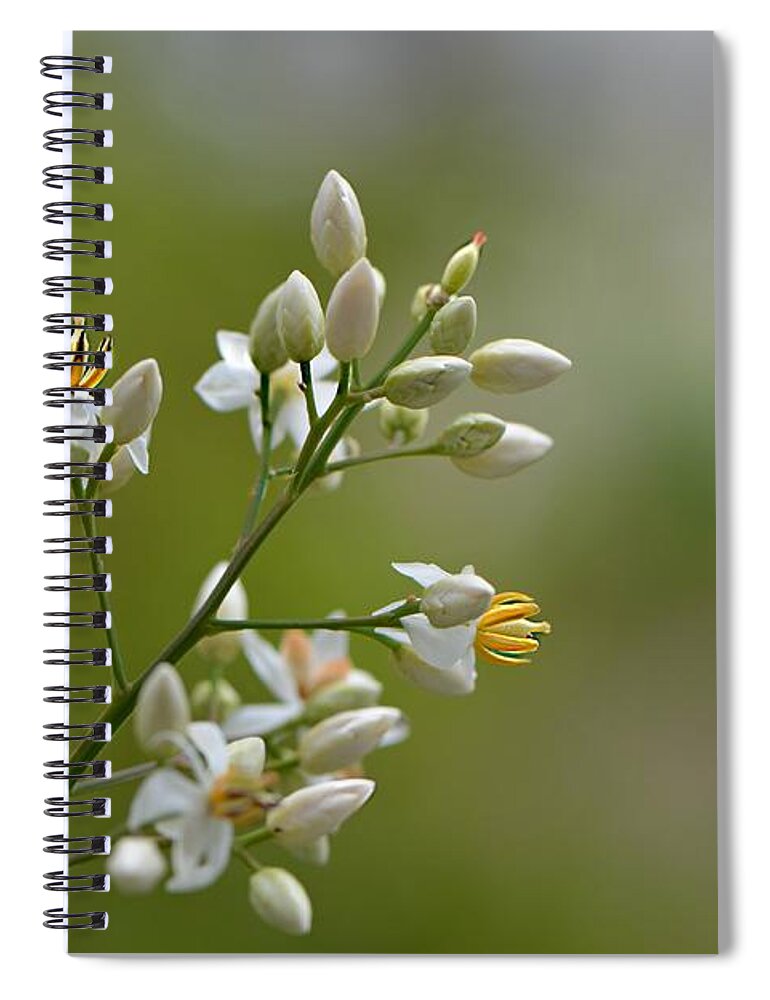 Flowers Spiral Notebook featuring the photograph Her Majesty by Carolyn Mickulas