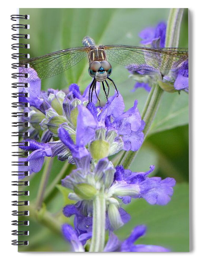 Dragonfly Spiral Notebook featuring the photograph Here's Looking At You Kid by Carolyn Mickulas