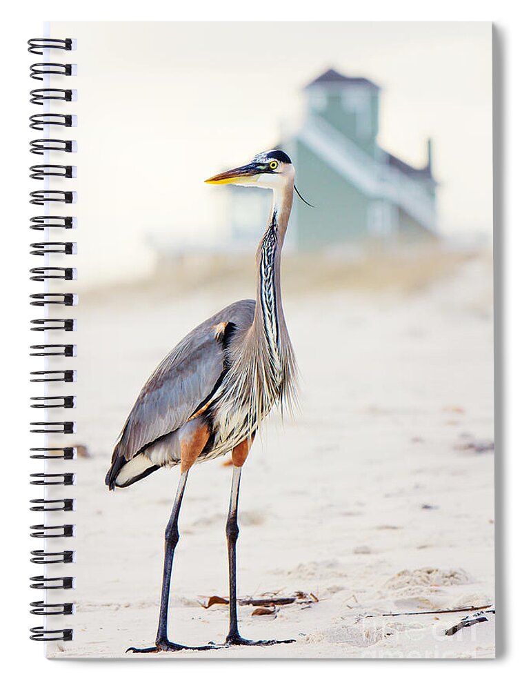 Heron Spiral Notebook featuring the photograph Heron and the Beach House by Joan McCool