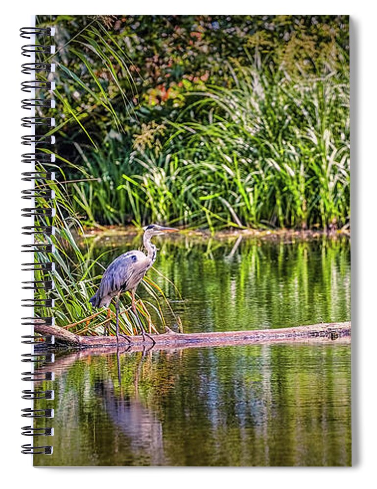 Heron Spiral Notebook featuring the photograph Heron #h8 by Leif Sohlman