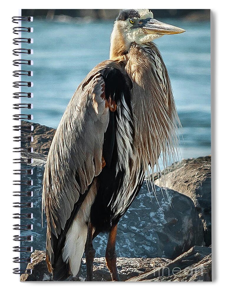 Nature Spiral Notebook featuring the photograph Heron on jetty by Barry Bohn