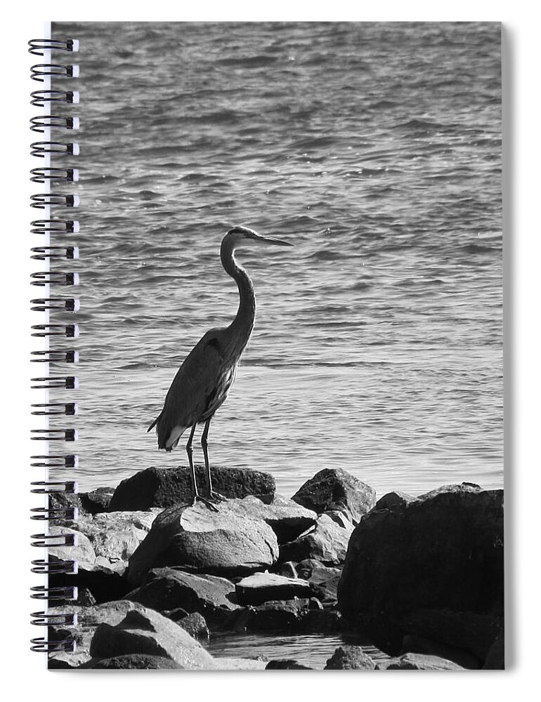 Wildlife Spiral Notebook featuring the photograph Heron on the Rocks by William Selander