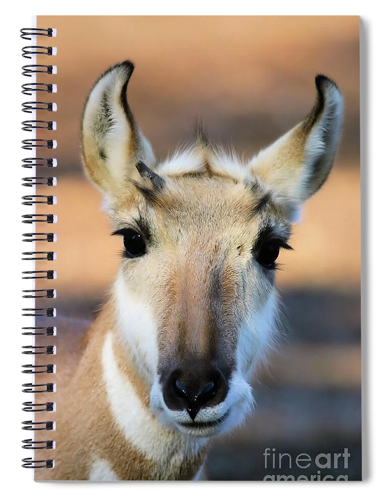 Animal Spiral Notebook featuring the photograph Hey You by Karol Livote