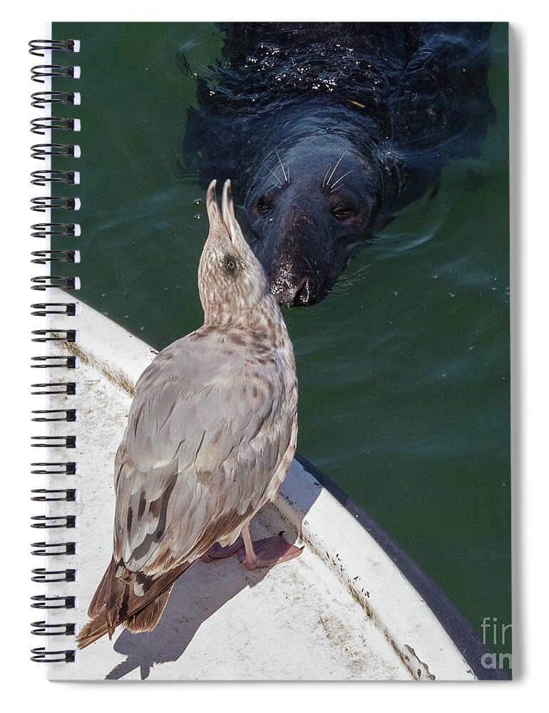 Hi There Spiral Notebook featuring the photograph Hi There by Michelle Constantine