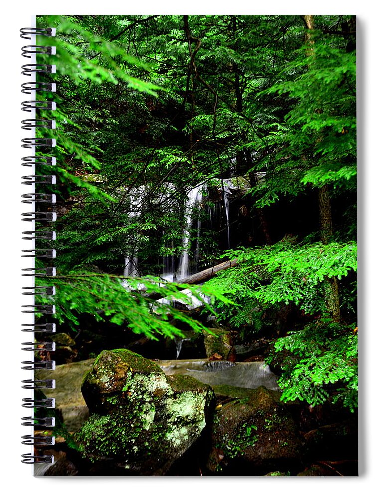 Mcconnell Mill State Park Pa Spiral Notebook featuring the photograph Hidden Beauty by Lisa Wooten