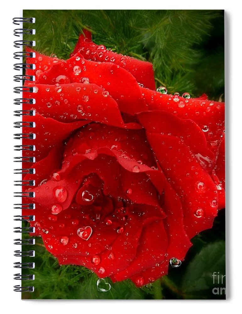 Red Rose Spiral Notebook featuring the mixed media Hidden Hearts by Morag Bates