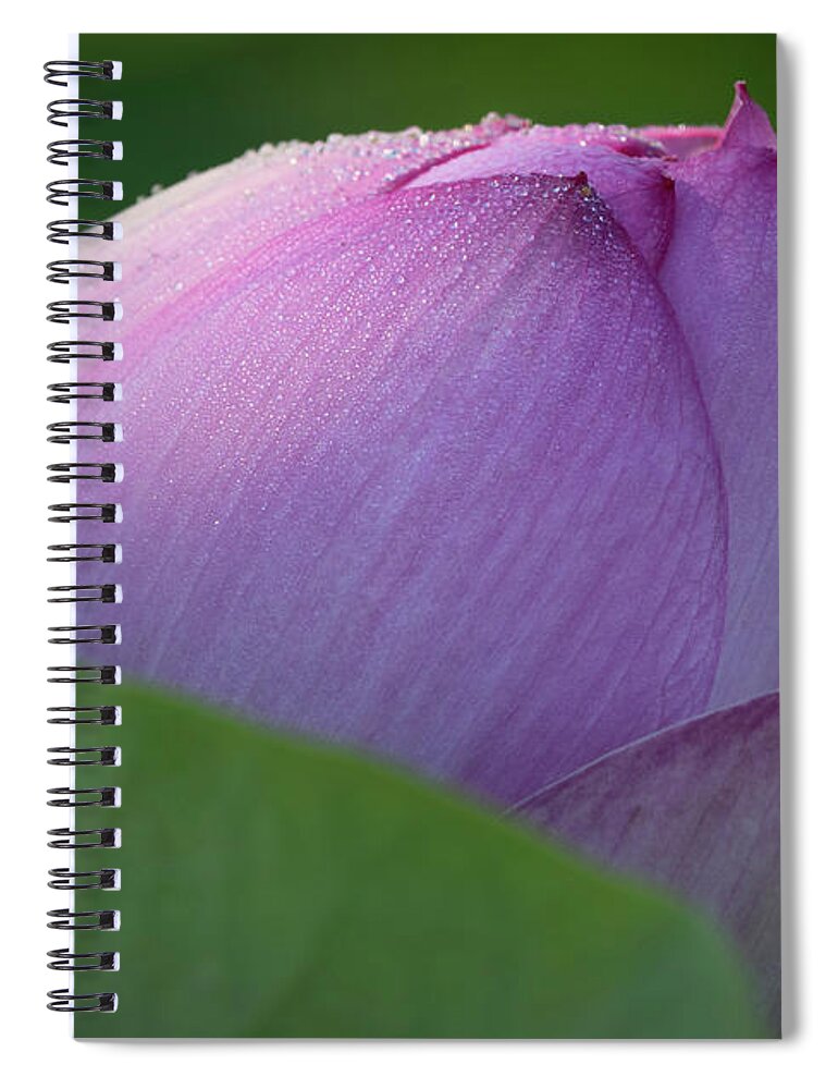 Lotus Spiral Notebook featuring the photograph Hiding Lotus by Jack Nevitt